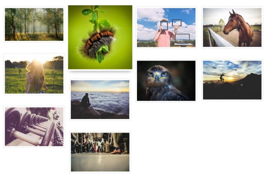 14 Best WordPress Photo Gallery Plugins in 2024